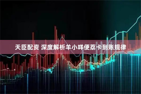 天臣配资 深度解析羊小咩便荔卡到账规律
