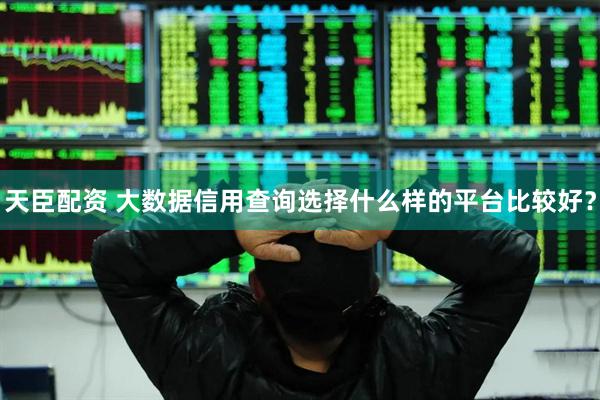 天臣配资 大数据信用查询选择什么样的平台比较好？