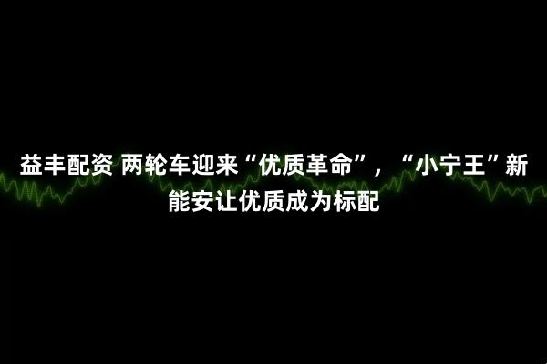 益丰配资 两轮车迎来“优质革命”，“小宁王”新能安让优质成为标配