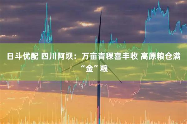 日斗优配 四川阿坝：万亩青稞喜丰收 高原粮仓满“金”粮