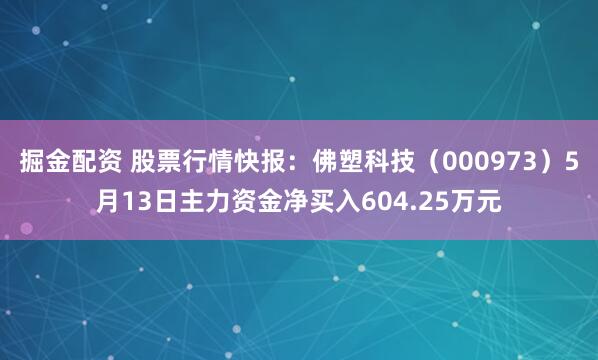 掘金配资 股票行情快报：佛塑科技（000973）5月13日主力资金净买入604.25万元