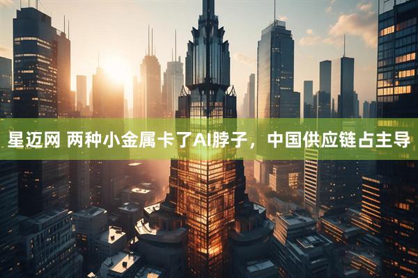 星迈网 两种小金属卡了AI脖子，中国供应链占主导